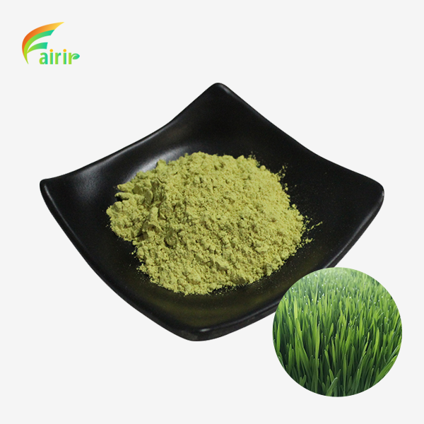 Raw Wheat Grass Powder